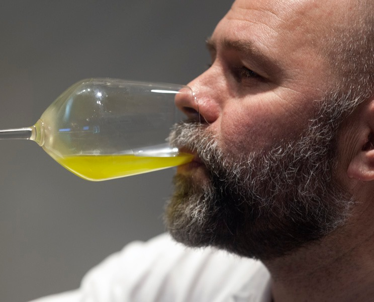 Professional Olive Oil Taster